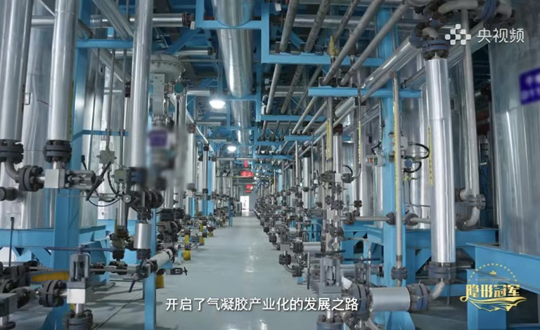 公海彩船6600隐形冠军专题纪录片登陆央视频