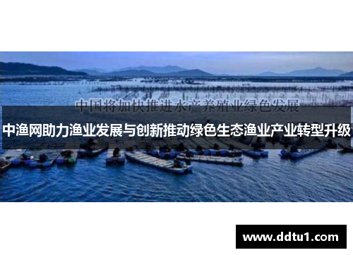 中渔网助力渔业发展与创新推动绿色生态渔业产业转型升级